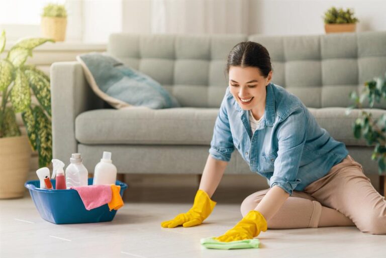 woman-doing-cleaning-the-house